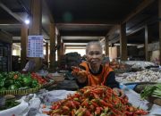 Dinas Perdagangan Kota Jogja Sebut Harga Cabai dan Telur Melonjak, Ini Faktornya